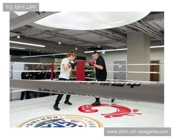 国际拳击裁判评分复核委员会第107版判例发布,拳击裁判等级划分 国际拳击裁判评分复核委员会第107版判例发布,拳击裁判等级划分